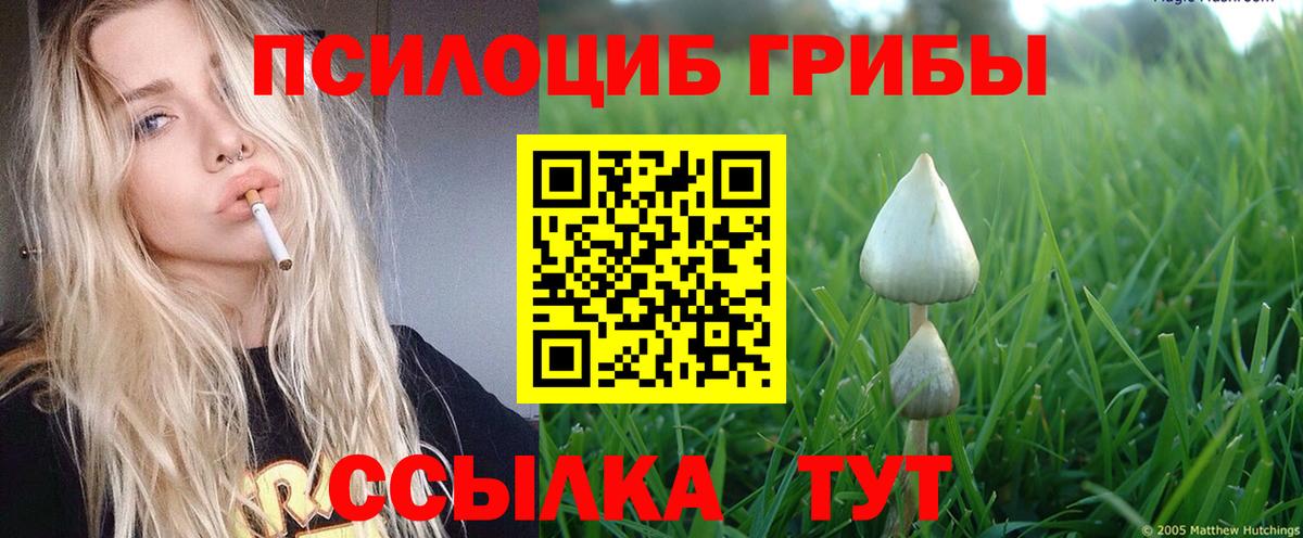 Галлюциногенные грибы ЛСД Каменск-Шахтинский